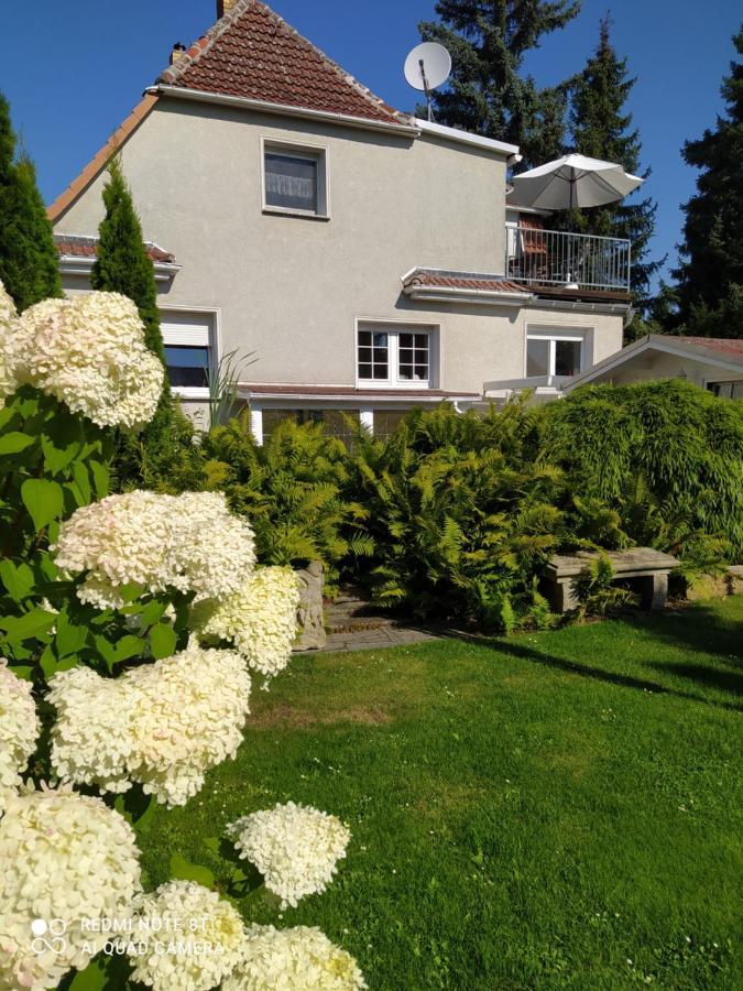 Kreativ Ferienwohnung Domizil Der Sinne Bad Liebenwerda Dış mekan fotoğraf